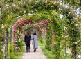 Programme Neuf Villa Rosella L'Haÿ-les-Roses
